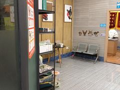 -瑞派名望志远动物医院·猫科·內科·异宠专科(直港大道店)