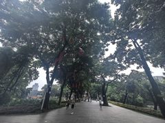 -荔湾湖公园
