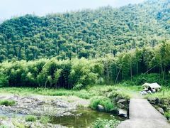 -莫干山风景区