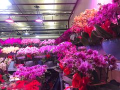 -朝来春花卉市场-东停车场