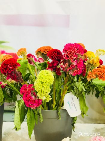 没想到展会两点半就结束了，很多展位都撤了