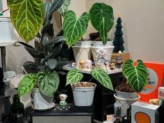 -Dogi&kiki Coffee(中心商务大厦店)