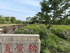 -菊园百果园