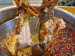 -蛙两只美蛙鱼头火锅(恒茂店)