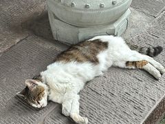 -成都市文殊院