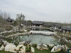 -上海滨江森林公园