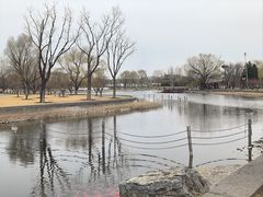 -西海子公园