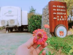 -汤山温泉房车营地 茶温泉