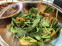 -樱の花亭日本料理店