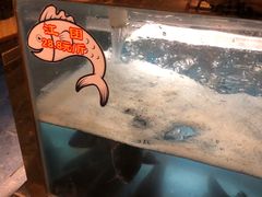 -三道苗苗鱼·美蛙黄辣丁(八里店)