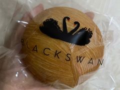 天鹅蛋-BLACKSWAN黑天鹅(环球店)