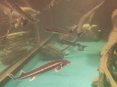 -乌鲁木齐海洋馆