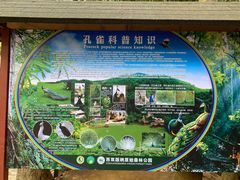 -西双版纳原始森林公园