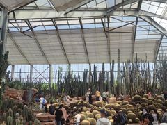 -南通洲际绿博园