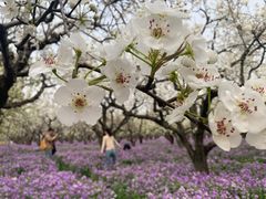 -江苏三台山国家森林公园