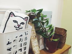 -阿狗圆子