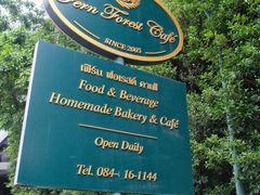 -Fern Forest Cafe