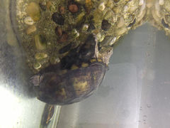 6.1-上海大自然野生昆虫馆