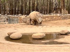 -北京野生动物园