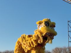 -河北省园博园