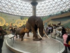 -陕西自然博物馆