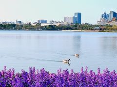-顺峰山公园