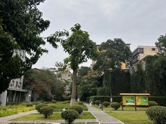-莲湖公园