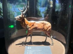 -中国湿地博物馆