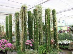 -上海鲜花港