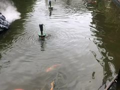 -观宴·品质赣菜(高新大道店)