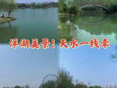 -洋湖国家湿地公园