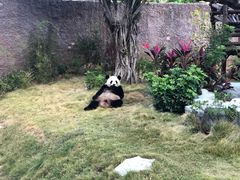 -灵玲国际马戏城