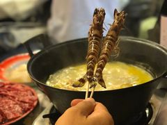 -鲜入围煮花胶鸡海鲜火锅