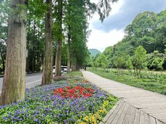-青城山