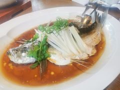 钱湖四宝-朋鱼-宁波柏悦酒店·钱湖渔港
