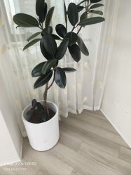 -HEYAN荷妍专业脱毛连锁机构