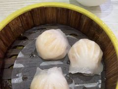 -杨记杏仁茶(椰园店)