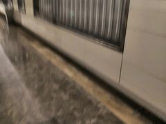 -1828王老吉·草本新茶(珠江新城地铁站店)