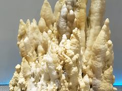 -游龙石文化科普馆
