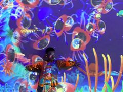 -成都浩海立方海洋公园