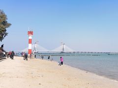 -北海金海湾红树林生态旅游区