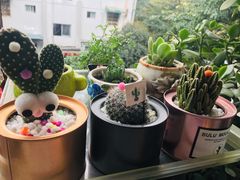 -三圣花乡旅游区