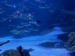 -欢乐海岸海洋奇梦馆