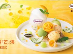 秘境芒海冰淇淋-哈根达斯(滨江店)