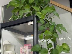 -ME觅妆·定制美妆·彩妆私教(菱角湖店)