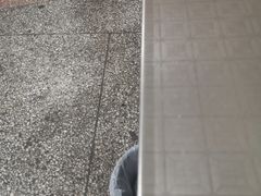 -大型宠物商超·宠海王国·宠物猫狗活体·用品·美容(新世界百货重庆店)