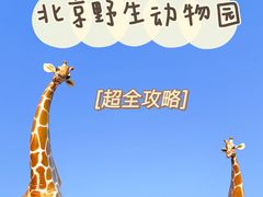-北京野生动物园
