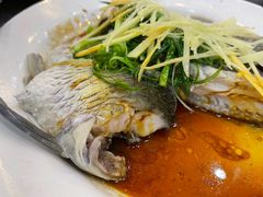 -红星光发煲仔饭(文海店)