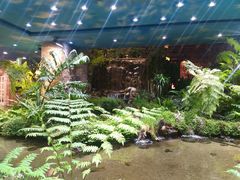 -凯德广场(学府店)