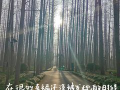 -上海怡沁园度假酒店